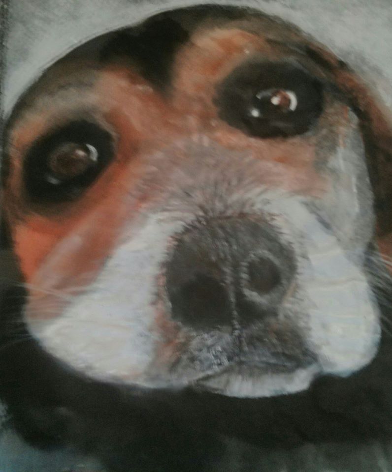 safari ltd beagle
